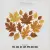 Autumn Leaves Cluster Embroidery Design