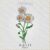 April Daisy Flower Embroidery Design