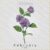 February Violet Flower Embroidery Design