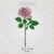 June Rose Flower Embroidery Design