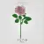 June Rose Flower Embroidery Design