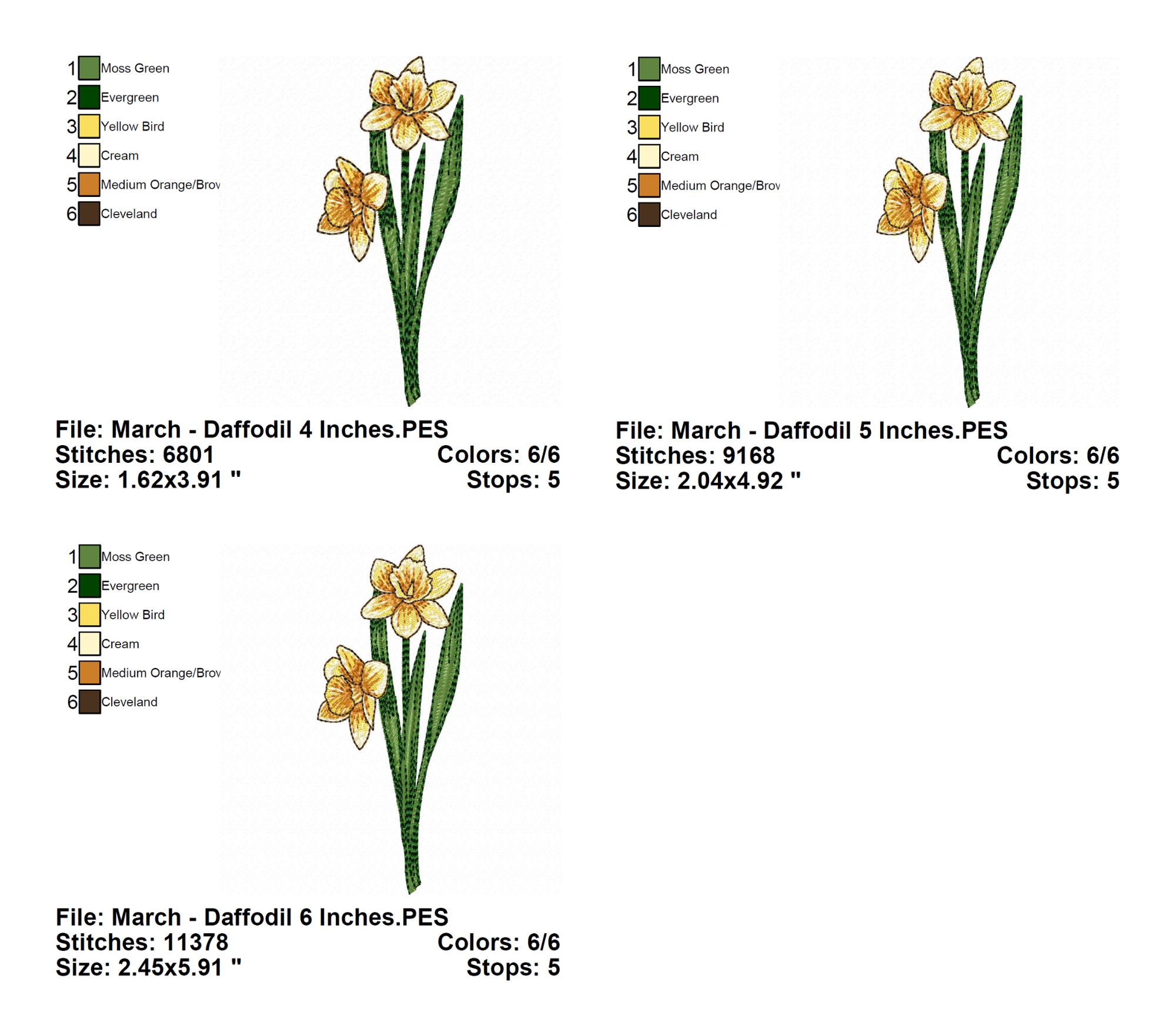 March Daffodil Flower Embroidery Design INFO