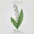 May Lily of the Valley Flower Embroidery Design