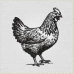 Rustic Farmhouse Hen Sketch Embroidery Design