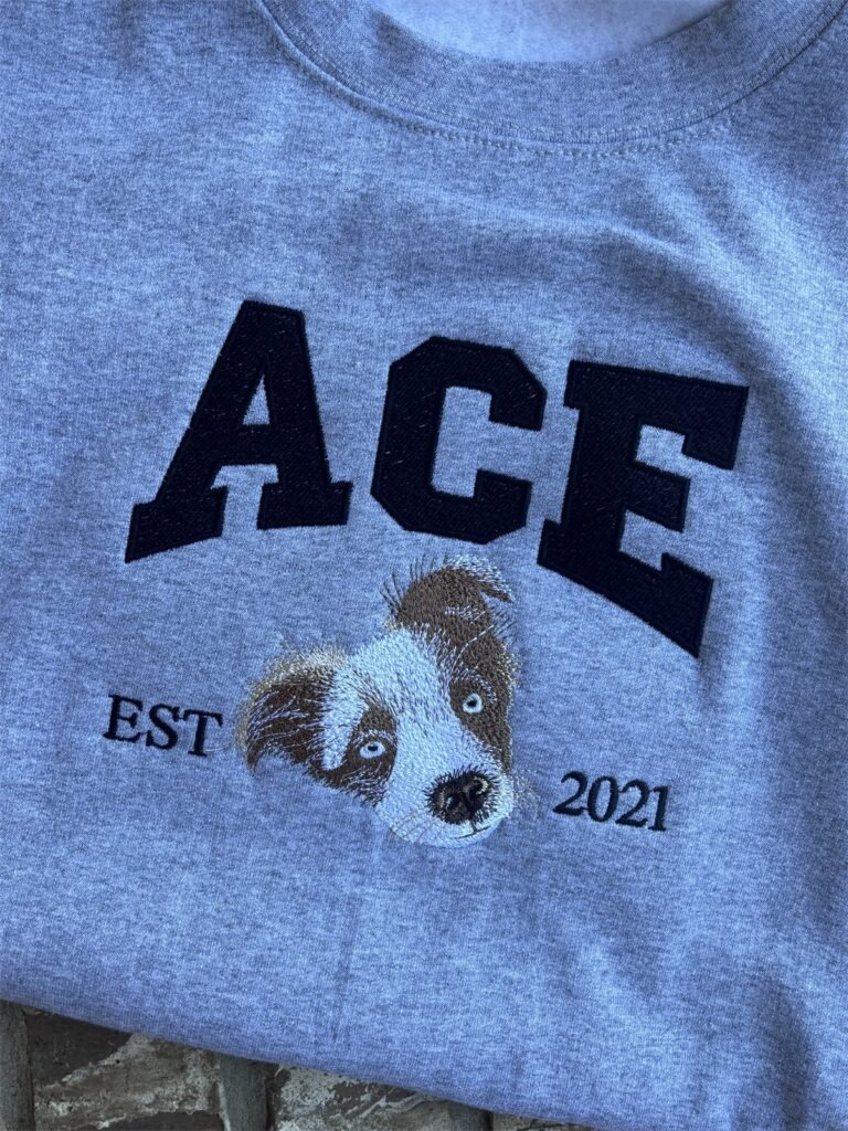 Ace: stitched result