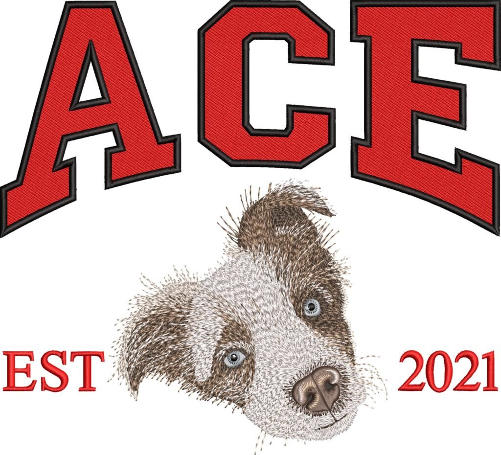 Ace: digitized design