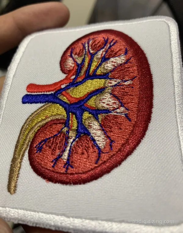 Photo Digitizing, Kidney embroidery design